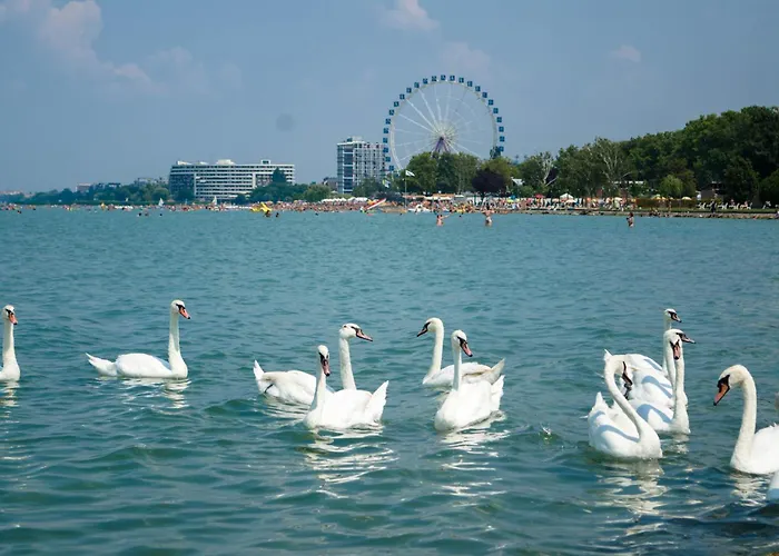 Near In 18525 Apartment *